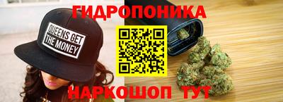 индика Гусев