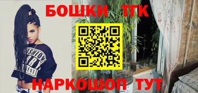 индика Гусев