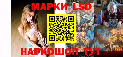 индика Гусев