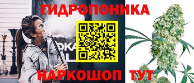 индика Гусев